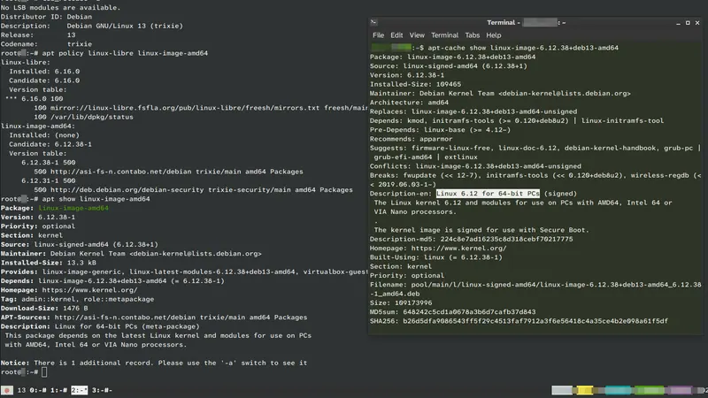 Терминал Linux с введенными командами управления правами доступа